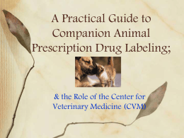 A Practical Guide to Companion Animal