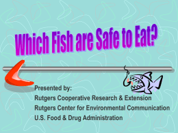 Revised Which Fish Are Safe to Eat Display 2002