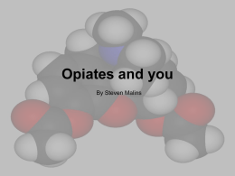 Opiates - UNM Biology Department Home Page