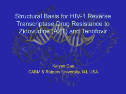Structural Basis for K65R Function: Tenofovir Resistance