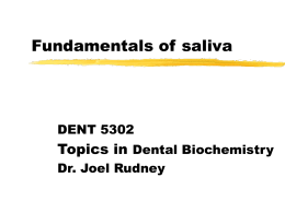Fundamentals of saliva - Twin Cities