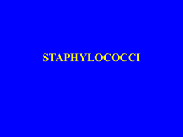 STAPHYLOCOCCI - TOP Recommended Websites