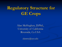 GMO Safety: Regulatory Theory and Practice