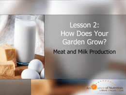 Lesson 2: How Does Your Garden Grow?