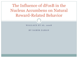 The Influence of dFosB in the Nucleus Accumbens on Natural