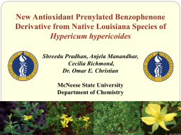 Isolation of Benzophenones from Louisiana Hypericum