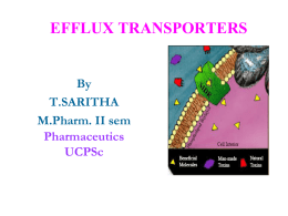 EFFLUX TRANSPORTERS