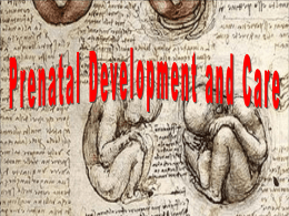 Prenatal Development and Care