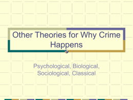 Other Theories for Why Crime Happens