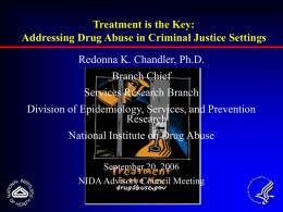 Improving Drug Abuse Services in Criminal Justice Settings