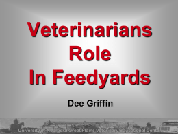 Veterinarians Role In Feedyards