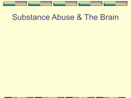 Substance Abuse & The Brain