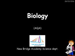 Biology 1 - The New Bridge Academy