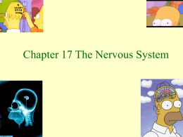 C17 Nervous_Teacher