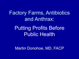 Factory Farms, Antibiotics and Anthrax