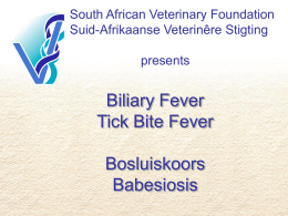 PowerPoint  - South African Veterinary Foundation