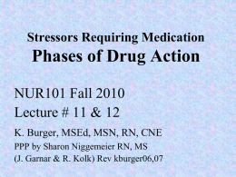 Phases of Drug Action