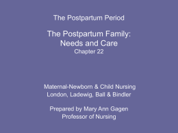 The Postpartum Period The Postpartum Family: Needs and Care
