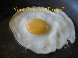 Your Brain on Drugs?!