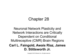 Carl L. Faingold, Awais Riaz, James D. Stittsworth Jr.