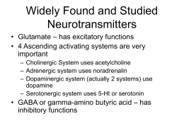Widely Found and Studied Neurotransmitters