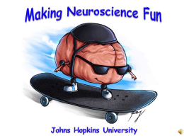 Stress Drugs - Making Neuroscience Fun