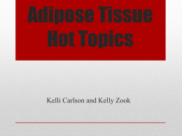 Adipose Tissue Hot Topics