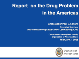 Report on the Drug Problem in the Americas