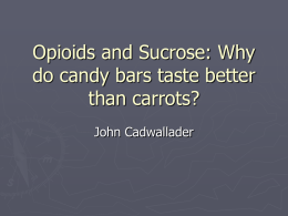 Opioids and Sucrose: An Overview