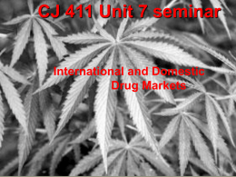 CJ 340 Unit 2 seminar
