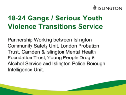 18-24 Gangs / Serious Youth Violence Transitions