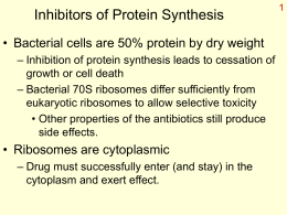 Inhibitors of Protein Synthesis