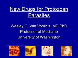 New Drugs for Protozoan Parasites