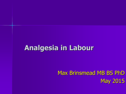Analgesia in Labour - Max Brinsmead MB BS PhD