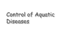 Control of Fish Diseases