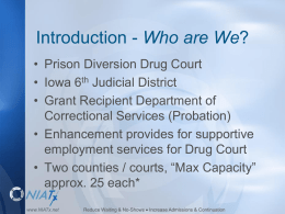 Iowa 6th Judicial District Prison Diversion Court,Cedar