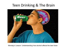 Drinking & The Brain