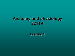 Anatomy and physiology 2420 Lecture I