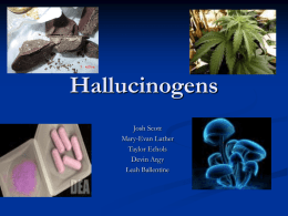 Hallucinogens - josh-theo