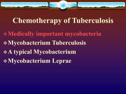 Antimycobacterial drugs