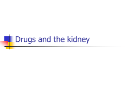 Drugs and the kidney 2006