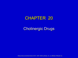 Chapter 20