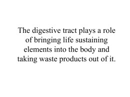 The digestive tract plays a role of bringing life sustaining elements