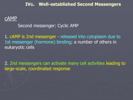 IVG. Well-established Second Messengers Ca++