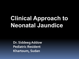 Clinical Approach to Neonatal Jaundice