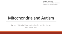 Mitochondria and Autism