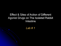 Effect & Sites of Action of Different Agonist Drugs on The Isolated