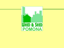 Evaluation of Weed & Seed - California State Polytechnic University