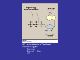 ATP