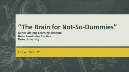 File - The Brain for Not-so